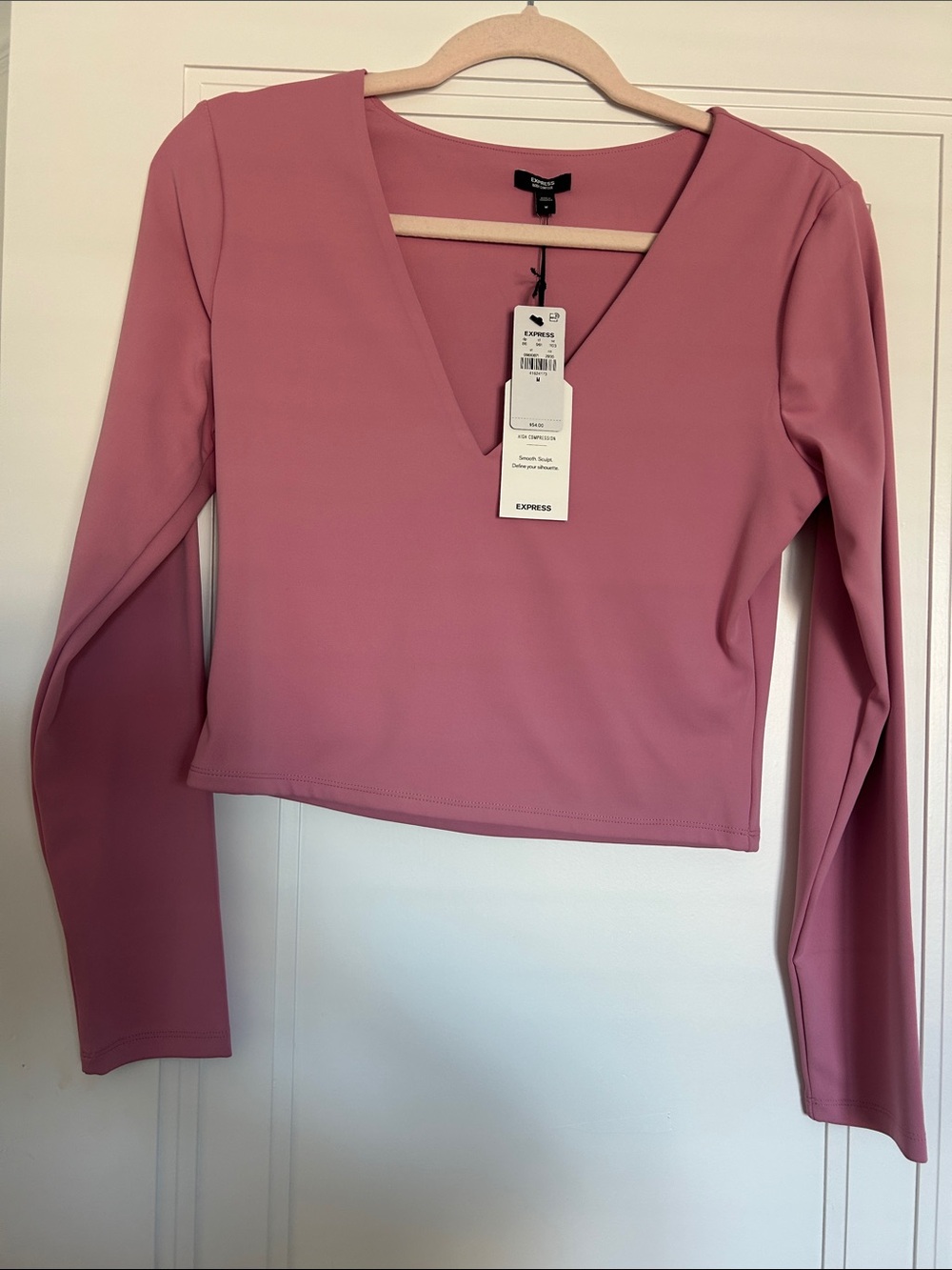 Express Mauve V-Neck Long Sleeve Crop Top